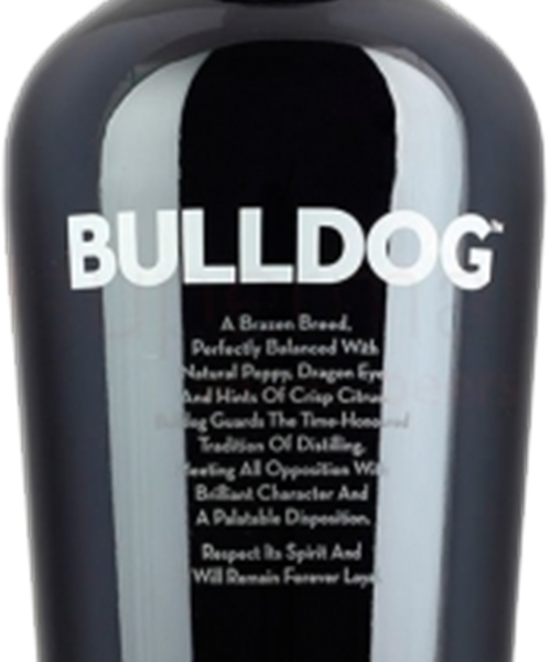 BIG DOG