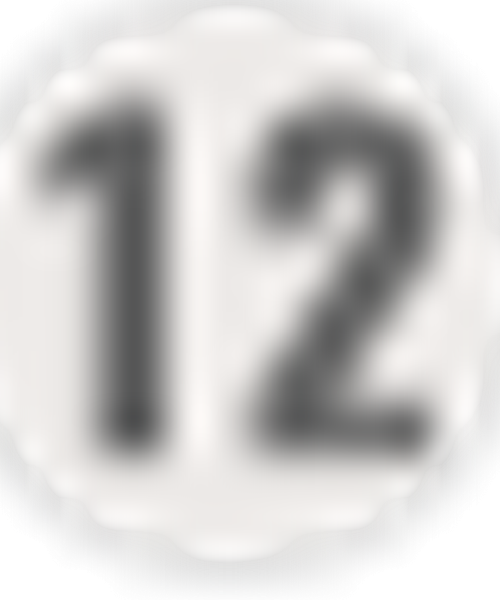 Bord 12