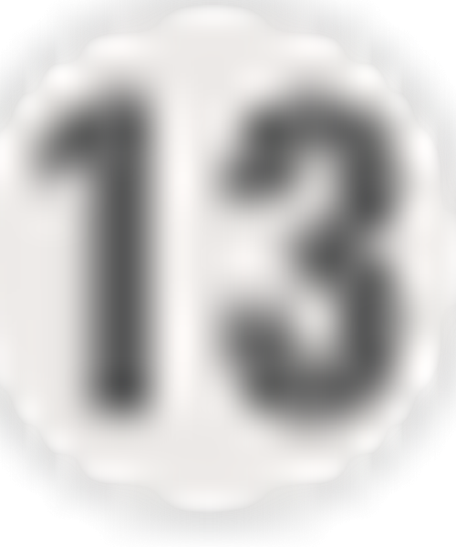 Bord 13