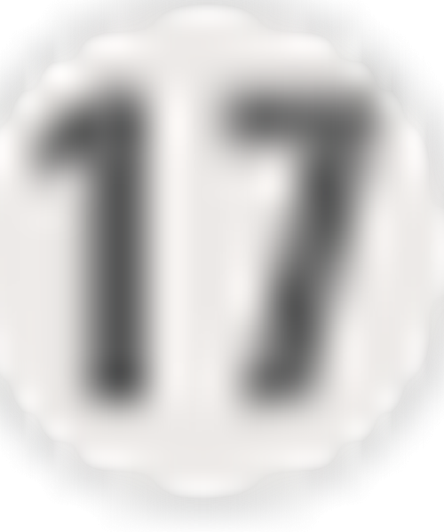 Bord 17